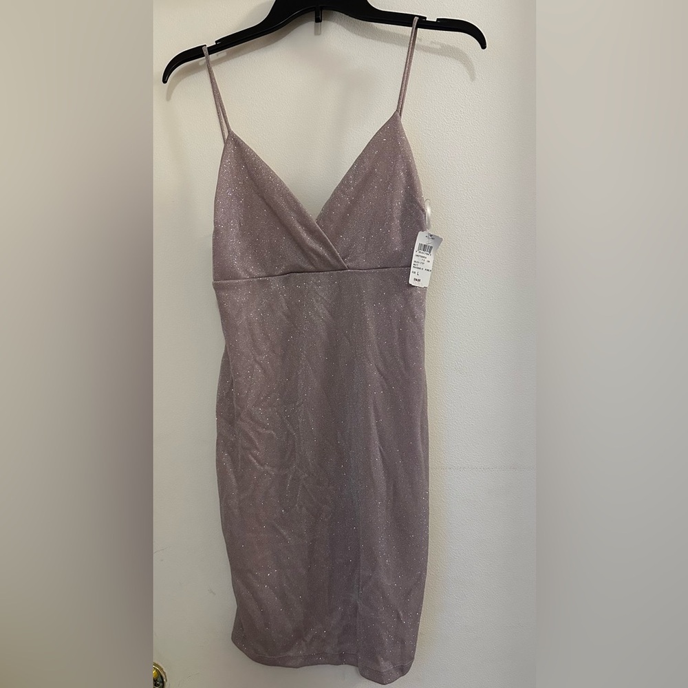 NWT Windsor Dress